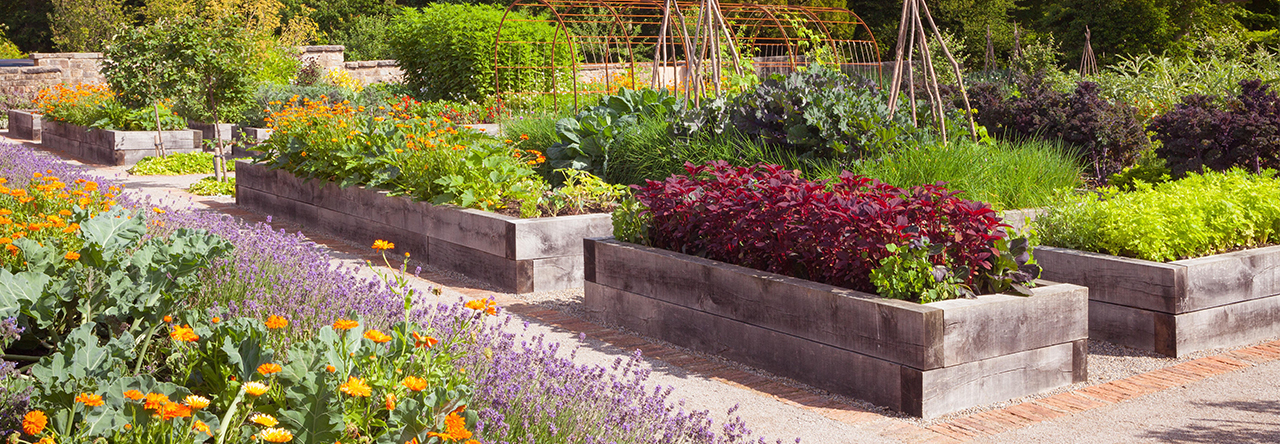 Garden Products