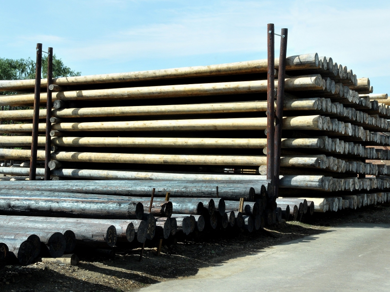 Pressure Treated Telegraph Poles